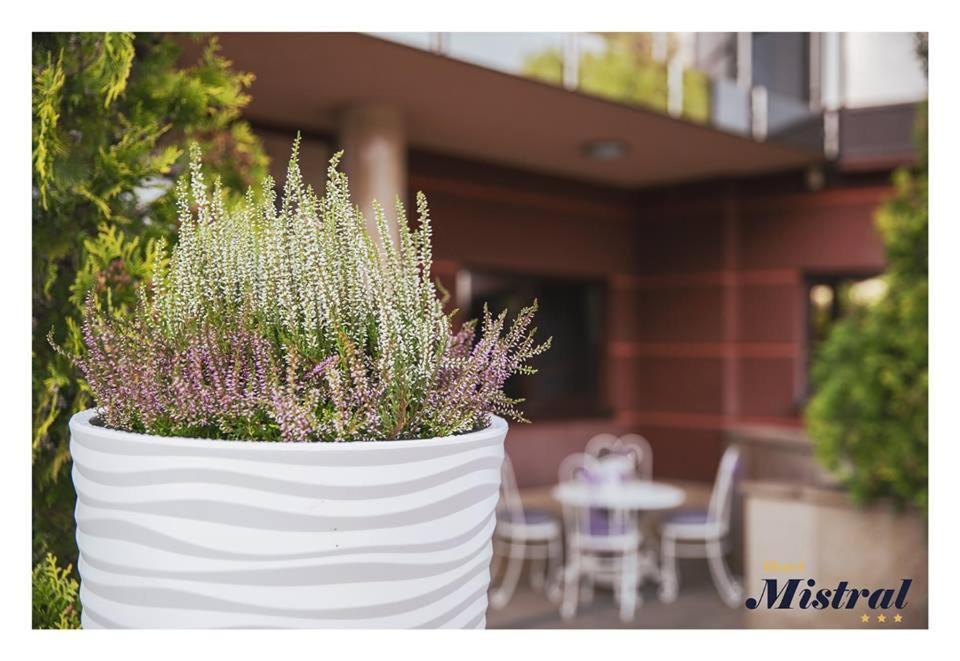 Hotel Mistral 마르키 외부 사진